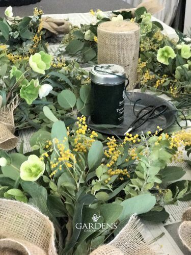 春の訪れを告げる優しい香り ミモザブルーブッシュ Gardens Garden 春の訪れを告げる優しい香り ミモザブルーブッシュ Gardens Garden